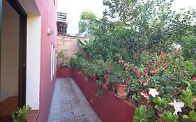 La Casa De Las Flores